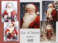 RM-8007a-Joy of Santa