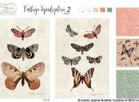 AJR-1153b-Lepidoptera