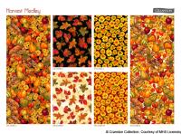 CR-Harvest Medley