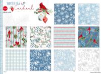 PDR-SG-24-503-Winter Blue Cardinal 7
