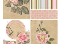 TH-6-014-Bertuch Rose