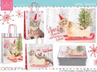 UT-6003d-Winter Woodland